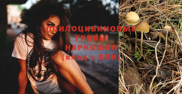 тгк Вяземский